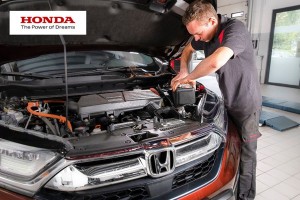 -25%       Honda